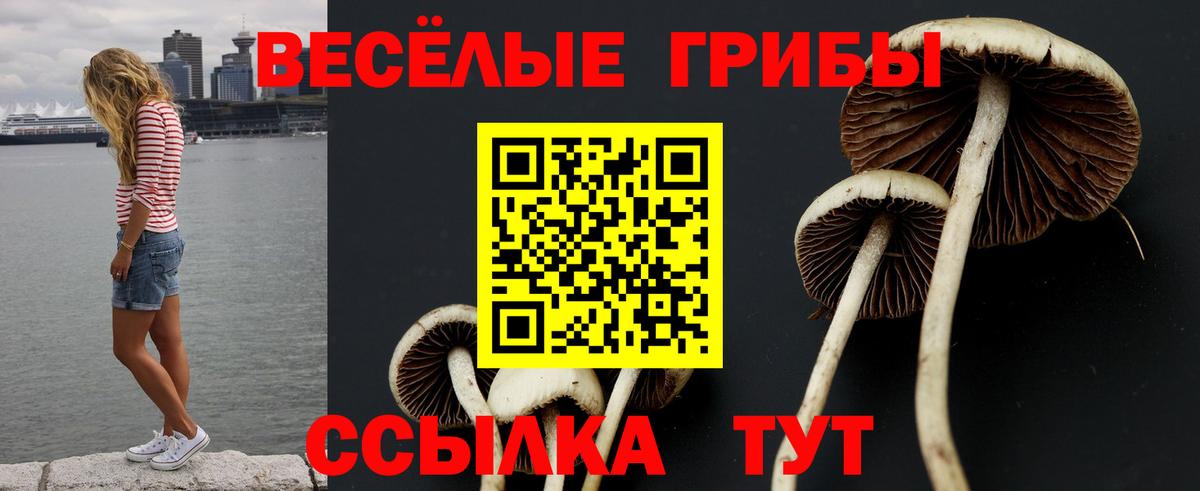 Псилоцибиновые грибы MAGIC MUSHROOMS Трёхгорный